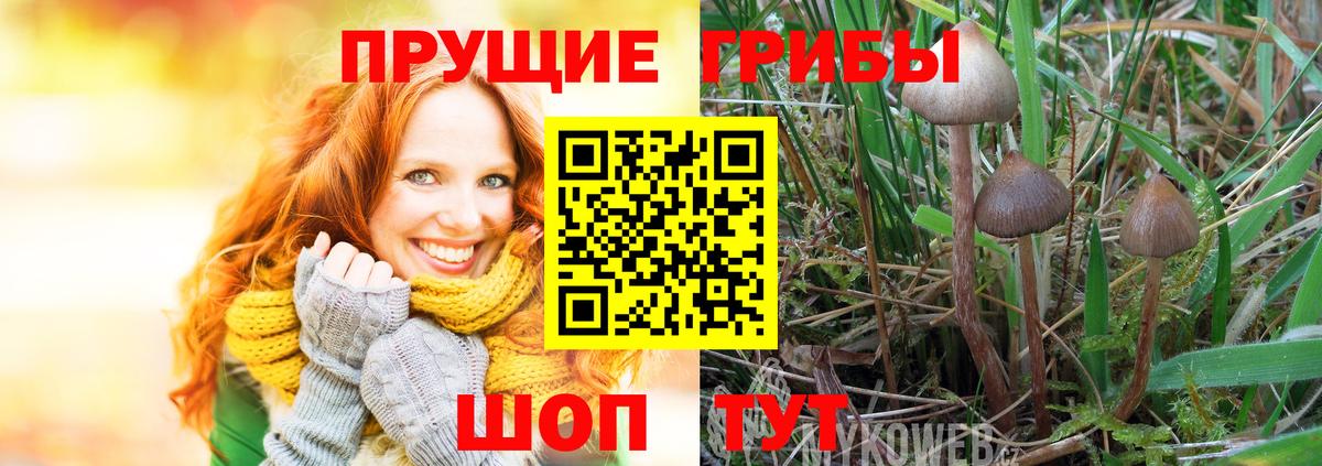 Галлюциногенные грибы GOLDEN TEACHER Белово