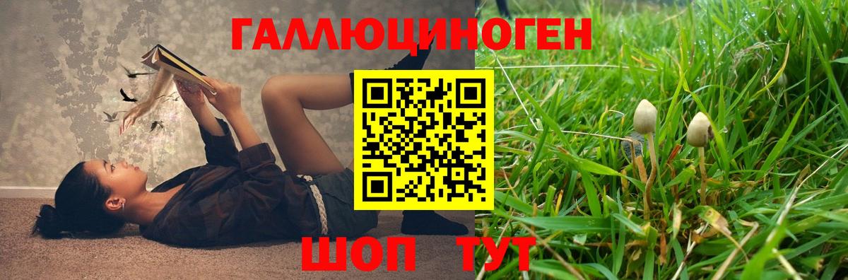 Галлюциногенные грибы прущие грибы  Вход с VPN  Белово 